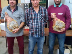 Illustration de la galerie