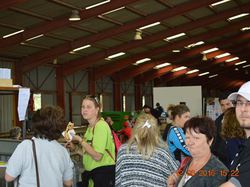 Illustration de la galerie